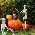 Halloween Decorations Skeleton,Posable Human Shape Skeleton,Halloween Fake Bone Horror Decoration